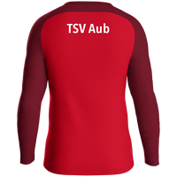 TSV Aub Sweat Iconic