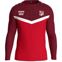 TSV Aub Sweat Iconic