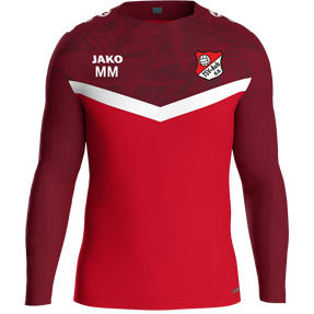 TSV Aub Sweat Iconic