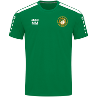 SV Grün - Weiß 1924 Großtreben e.V. Jubiläumsshirt 100 Jahre