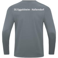 SG Eggolsheim-Hallerndorf Sweat Power