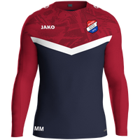 SpVgg Joshofen Bergheim e.V. Sweat Iconic