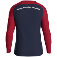 SpVgg Joshofen Bergheim e.V. Sweat Iconic