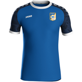 BSV Neuburg Trikot Iconic KA