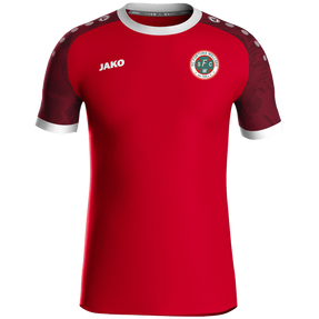SC Fortuna Wellsee Trikot Iconic KA