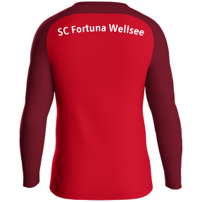 SC Fortuna Wellsee Sweat Iconic