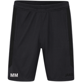 FC Fortuna 96 Dingolfing Short Power