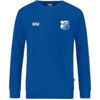 TuS Dotzlar Sweat Organic