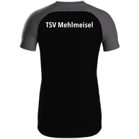 TSV Mehlmeisel 1923 Polo Iconic
