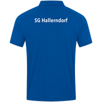 SG Hallerndorf Polo Power