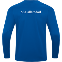 SG Hallerndorf Sweat Power