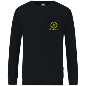 WSV Osnabrück Sweat Organic