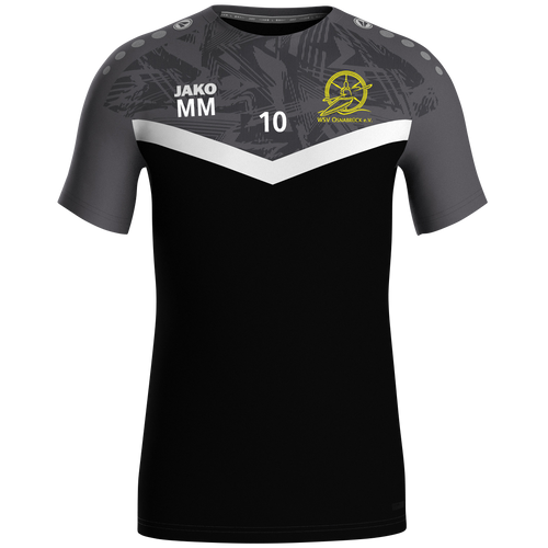 WSV Osnabrück Kanupolo T-Shirt Iconic