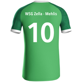 WSG Zella-Mehlis Trikot Iconic KA