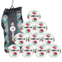 Ballset DERBYSTAR Trainingsball - TEMPO TT inkl. Ballsack