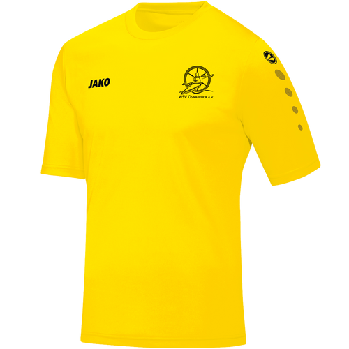 WSV Osnabrück Trikot Team Kurzarm