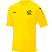 WSV Osnabrück Trikot Team Kurzarm