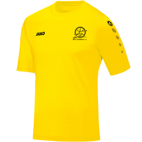 WSV Osnabrück Trikot Team Kurzarm
