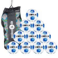 Ballset DERBYSTAR Trainingsball - APUS TT inkl. Ballsack