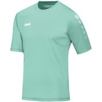 JAKO Trikot Team Kurzarm
