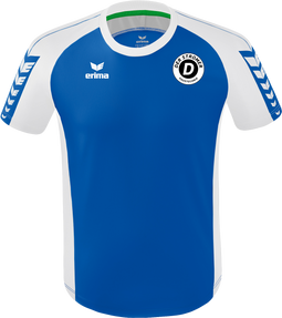 VdH Ladenburg 1910 Six Wings Trikot