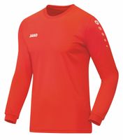 JAKO Trikot Team Langarm
