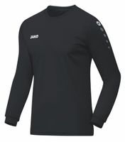 JAKO Trikot Team Langarm

