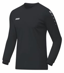 JAKO Trikot Team Langarm

