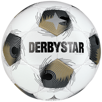 Ballset DERBYSTAR Trainingsball - BRILLANT TT v26 inkl. Ballsack