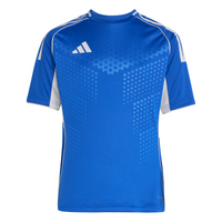 adidas Tiro 25 Competition Match Trikot