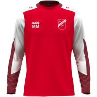 SV 1946 Klingsmoos Jugend Longsleeve Dynamic