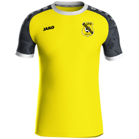 VFB Mickhausen Trikot Iconic KA