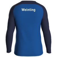 VfR Laberweinting 1929 e.V. Sweat Iconic