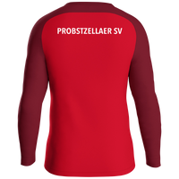 Probstzellaer SV Sweat Iconic