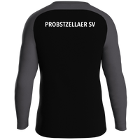 Probstzellaer SV Sweat Iconic