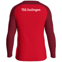 TSG Esslingen Sweat Iconic