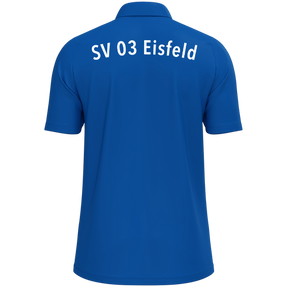 SV 03 Eisfeld Polo One