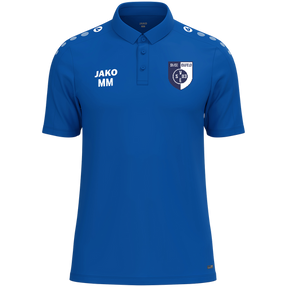 SV 03 Eisfeld Polo One
