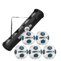 Ballset DERBYSTAR Spielball - APUS APS inkl. Ballsack