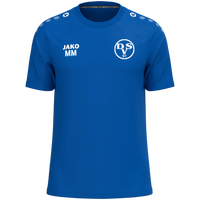 Dessauer SV 97 e.V. T-Shirt One Cotton