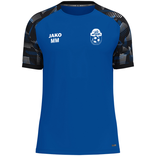 Hessener Sportverein 1928 e.V. T-Shirt Sonic