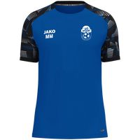 Hessener Sportverein 1928 e.V. T-Shirt Sonic