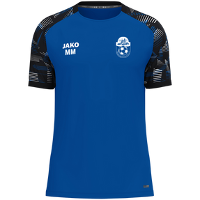 Hessener Sportverein 1928 e.V. T-Shirt Sonic
