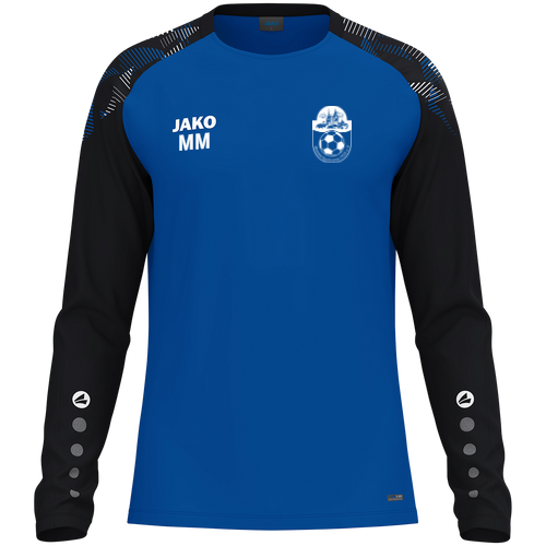 Hessener Sportverein 1928 e.V. Longsleeve Sonic