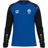 Hessener Sportverein 1928 e.V. Longsleeve Sonic