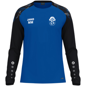 Hessener Sportverein 1928 e.V. Longsleeve Sonic