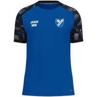 SKV Hähnlein T-Shirt Sonic