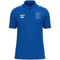 TV 1909 Weidenhausen Polo One