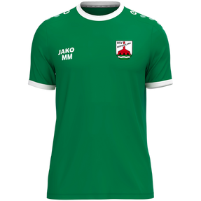 BSV Bingum Trikot One KA