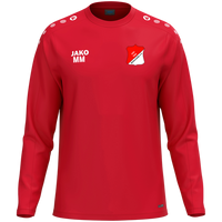 ASV Birkenheide Sweat One